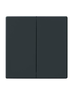 1785-81^KLAWISZ PODWÓJNY DO WYŁĄCZNIKÓW: ŚWIECZNIKOWEGO PODWÓJNEGO SCHODOWEGO I PODWÓJNEGO ZWIERNEGO. -CARATFUTURE-ANTRACYT