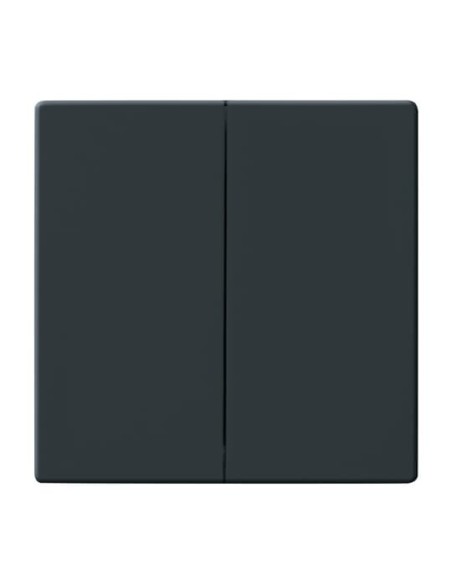 1785-81^KLAWISZ PODWÓJNY DO WYŁĄCZNIKÓW: ŚWIECZNIKOWEGO PODWÓJNEGO SCHODOWEGO I PODWÓJNEGO ZWIERNEGO. -CARATFUTURE-ANTRACYT