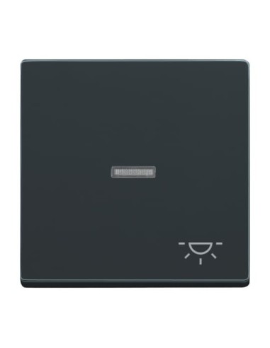 1789 LI-81^KLAWISZ Z SYMBOLEM „ŚWIATŁO” DO PRZYCISKU ZWIERNEGO -CARATFUTURE-ANTRACYT