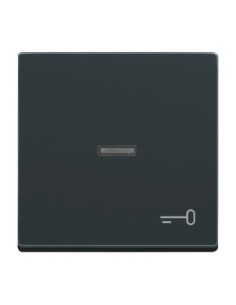 1789 TR-81^KLAWISZ Z SYMBOLEM KLUCZ DO PRZYCISKU ZWIERNEGO -CARATFUTURE-ANTRACYT