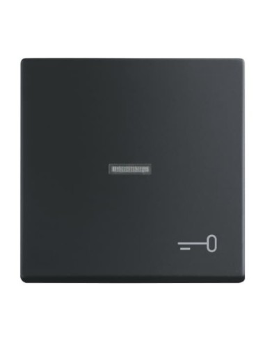 1789 TR-885^KLAWISZ Z SYMBOLEM KLUCZ DO PRZYCISKU ZWIERNEGO -FUTURE-CZARNY MATOWY