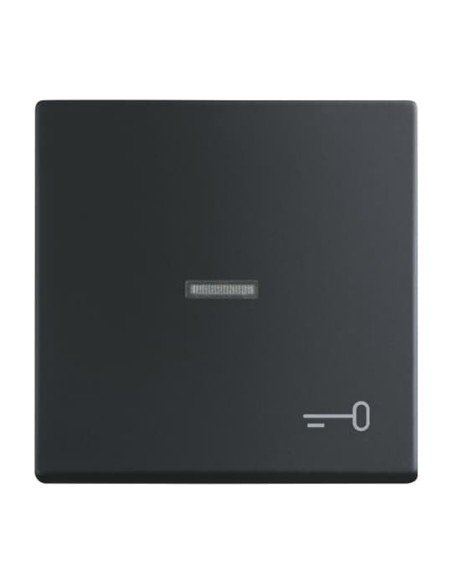 1789 TR-885^KLAWISZ Z SYMBOLEM KLUCZ DO PRZYCISKU ZWIERNEGO -FUTURE-CZARNY MATOWY