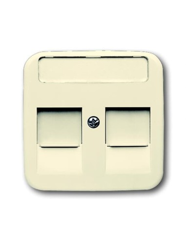 1800-212-500^POKRYWA Z POLEM OPISOWYM DO 2 ZŁĄCZY MODULAR JACK Z PRZYSŁONAMI -BUSCH-DURO-KOŚĆ SŁONIOWA