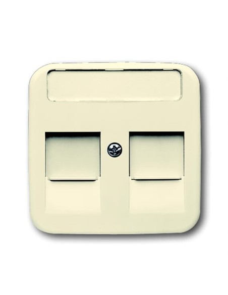 1800-212-500^POKRYWA Z POLEM OPISOWYM DO 2 ZŁĄCZY MODULAR JACK Z PRZYSŁONAMI -BUSCH-DURO-KOŚĆ SŁONIOWA