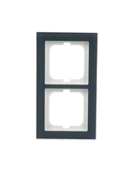 1722-229  ramka 2-krotna  Busch-axcent szklista ostryga