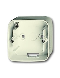 1701-212-500^ADAPTER NADTYNKOWY 1-KROTNY OBUDOWA DO MECHANIZMÓW I POKRYW Z RAMKAMI. -BUSCH-DURO-KOŚĆ SŁONIOWA