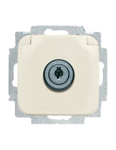 20 EUKSL-212^GNIAZDO SCHUKO Z KLAPKĄ Z RÓŻNORODNYMI ZAMKAMI. W ZAKRESIE DOSTAWY SĄ DWA KLUCZE. -BUSCH-DURO-KOŚĆ SŁONIOWA