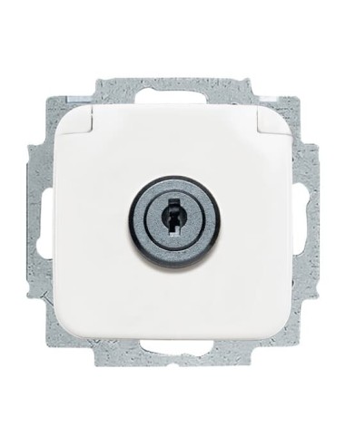 20 EUKSL-214^GNIAZDO SCHUKO Z KLAPKĄ Z RÓŻNORODNYMI ZAMKAMI. W ZAKRESIE DOSTAWY SĄ DWA KLUCZE. -REFLEX-BIAŁY ALPEJSKI
