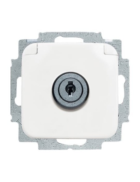 20 EUKSL-214^GNIAZDO SCHUKO Z KLAPKĄ Z RÓŻNORODNYMI ZAMKAMI. W ZAKRESIE DOSTAWY SĄ DWA KLUCZE. -REFLEX-BIAŁY ALPEJSKI