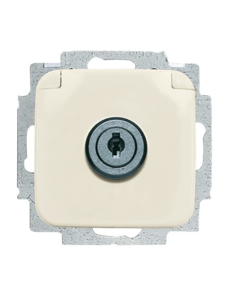 20 EUKSL-212-101^GNIAZDO SCHUKO Z KLAPKĄ Z ZAMKIEM JEDNORODNYM. W ZAKRESIE DOSTAWY SĄ DWA KLUCZE. -BUSCH-DURO-KOŚĆ SŁONIOWA