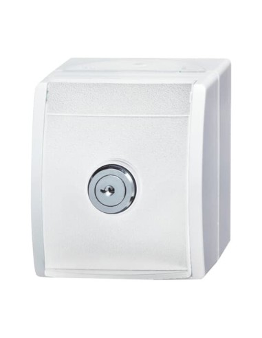 20 EWSL-54^GNIAZDO SCHUKO Z ZAMKIEM W KLAPCE. ZAMYKANE. 2 KLUCZE. -OCEAN-BIAŁY ALPEJSKI