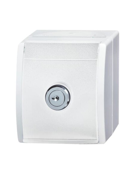 20 EWSL-54^GNIAZDO SCHUKO Z ZAMKIEM W KLAPCE. ZAMYKANE. 2 KLUCZE. -OCEAN-BIAŁY ALPEJSKI