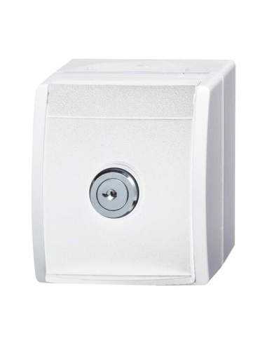 20 EWSL-101-54^GNIAZDO SCHUKO Z ZAMKIEM W KLAPCE. ZAMEK JEDNORODNY Z DWOMA IDENTYCZNYMI KLUCZAMI -OCEAN-BIAŁY ALPEJSKI