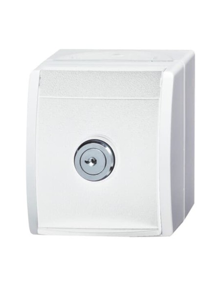 20 EWSL-101-54^GNIAZDO SCHUKO Z ZAMKIEM W KLAPCE. ZAMEK JEDNORODNY Z DWOMA IDENTYCZNYMI KLUCZAMI -OCEAN-BIAŁY ALPEJSKI