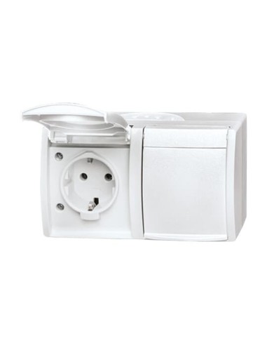 20 2 EW-54-500^GNIAZDO SCHUKO PODWÓJNE ZE WSTĘPNYM OKABLOWANIEM. Z KLAPKĄ. STOPIEŃ OCHRONY: IP 45 POZIOMY-OCEAN-BIAŁY ALPEJSKI