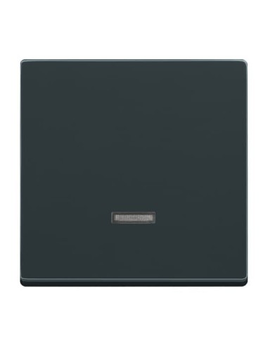 6543-81-101^ELEMENT OBSŁUGI Z LAMPKĄ NEONOWĄ. DO 6550 U-10X 6560 U-101 6593 U 6401 U-10X 6402 U -CARATFUTURE-ANTRACYT