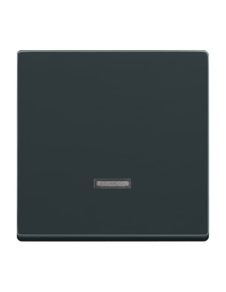 6543-81-101^ELEMENT OBSŁUGI Z LAMPKĄ NEONOWĄ. DO 6550 U-10X 6560 U-101 6593 U 6401 U-10X 6402 U -CARATFUTURE-ANTRACYT