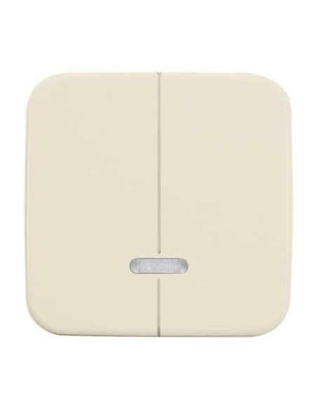 6545-212^ELEMENT OBSŁUGI Z LAMPKĄ NEONOWĄ. DO ŚCIEMNIACZA ŚWIECZNIKOWEGO Z PAMIĘCIĄ 6565 U. -BUSCH-DURO-KOŚĆ SŁONIOWA