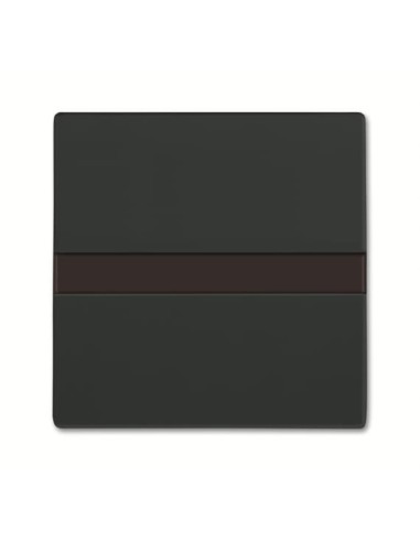 64765-81-500  ABB-flexTronics  Busch-Comfort switch sensor z czujnikiem ruchu  future linear 81 antracyt