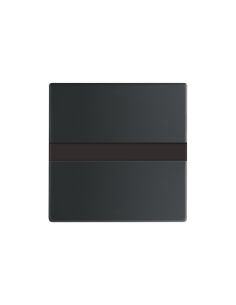 64765-885-500  ABB-flexTronics  Busch-Comfort switch sensor z czujnikiem ruchu  future linear 885 czarny matowy