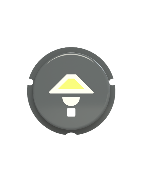 SBL-N2GR  przycisk do sensora f@h sym. światło  Zenit szary