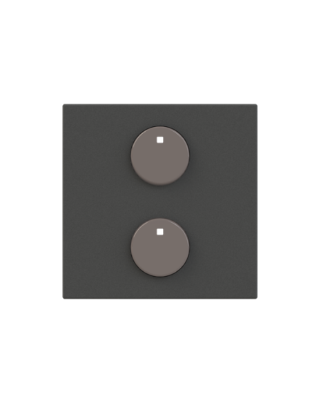 SR-2-N2AN  ABB-free@home  pokrywa sensora 2 przyciski 2M  Zenit Anthracite