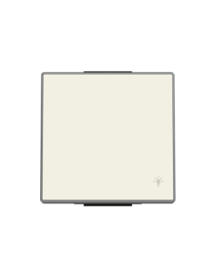 8504.2 BL^KLAWISZ Z SYMBOLEM ŚWIATŁO1-KROTNY