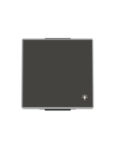 8504.2 NS^KLAWISZ Z SYMBOLEM ŚWIATŁO1-KROTNY