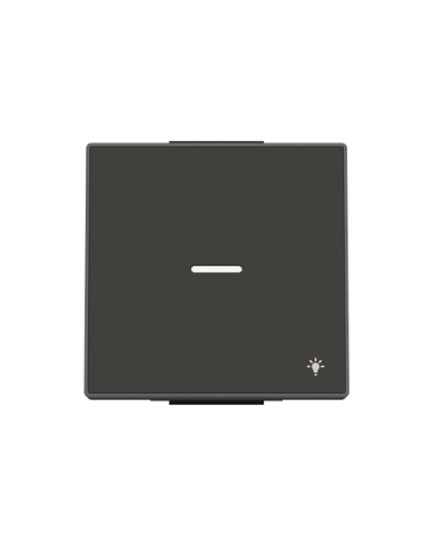 8504.4 NS^KLAWISZ Z OKIENKIEM I SYMBOLEM ŚWIATŁO1-KROTNY