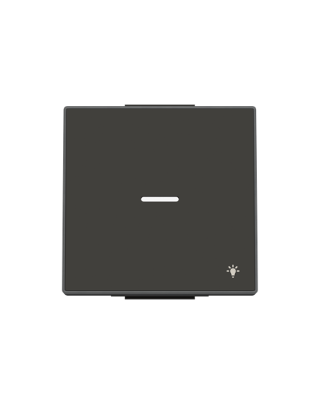 8504.4 NS^KLAWISZ Z OKIENKIEM I SYMBOLEM ŚWIATŁO1-KROTNY