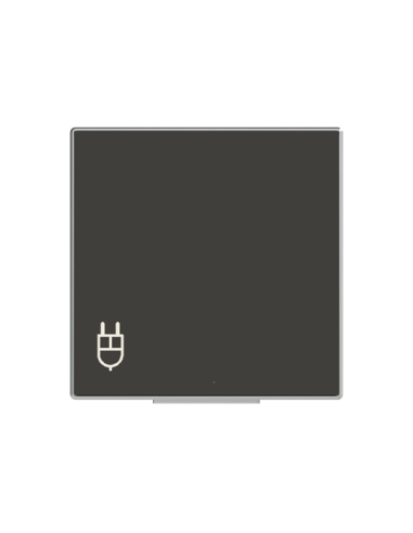 8588.1 NS^POKRYWA GNIAZDA SCHUKO Z KLAPKĄ