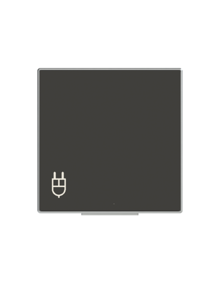 8588.1 NS^POKRYWA GNIAZDA SCHUKO Z KLAPKĄ