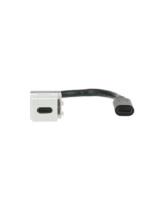 0229/12-500 | keystone USB-C 3.1 z pigtailem, biały | Rutenbeck