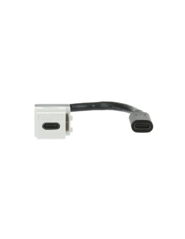 0229/12-500 | keystone USB-C 3.1 z pigtailem, biały | Rutenbeck