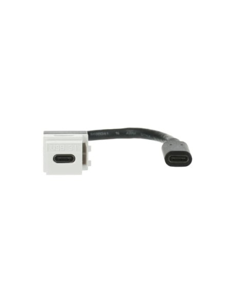 0229/12-500 | keystone USB-C 3.1 z pigtailem, biały | Rutenbeck