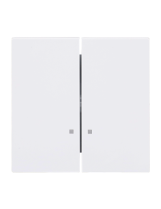 1785 K-44G | klawisz podwójny z podświetleniem | art linear 44G biały studyjny