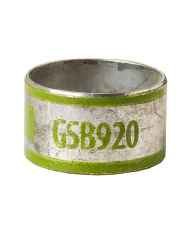 Tuleja wewnętrzna GSB920 23,37/25,40 [K].Zielony