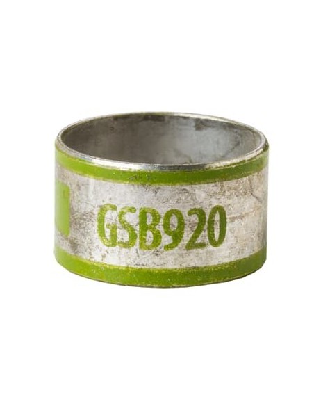 Tuleja wewnętrzna GSB920 23,37/25,40 [K].Zielony