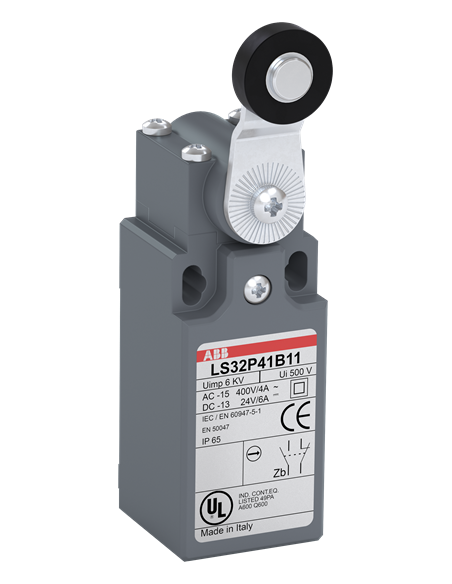 LS30P41B11 wyłącznik krańcowy