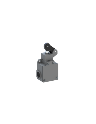 LS60M31B11 wyłącznik krańcowy