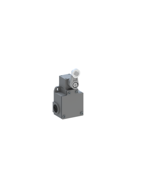 LS60M43B11 wyłącznik krańcowy